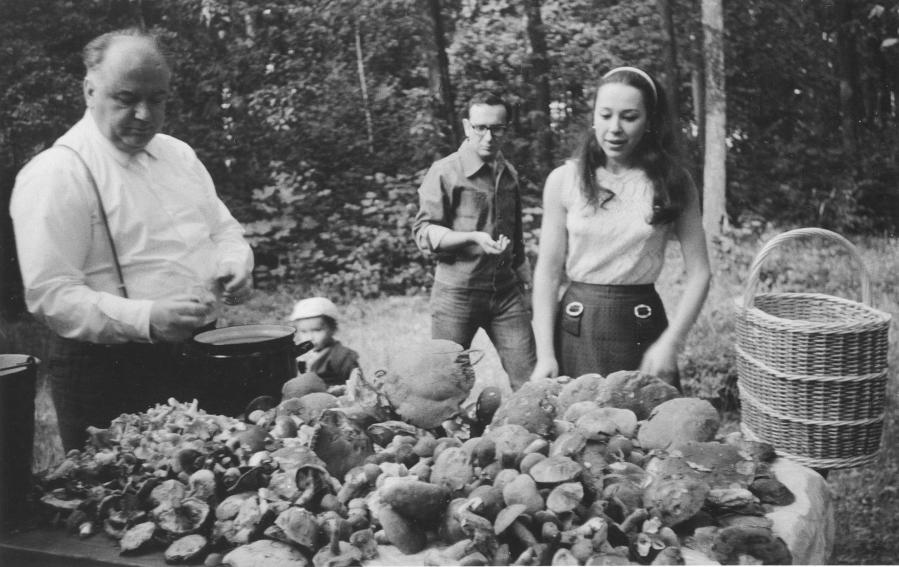 Грибной сезон_3