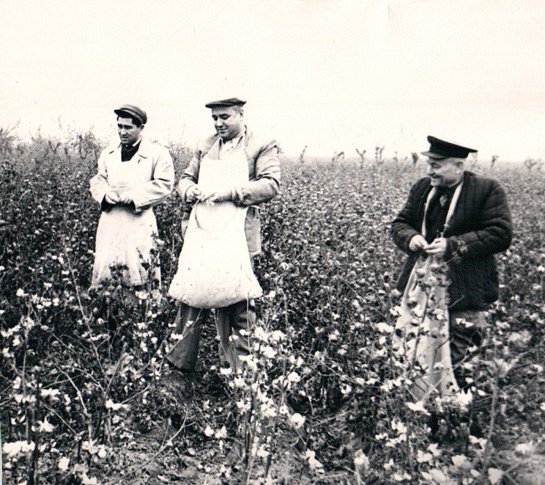 Таджикистан 10